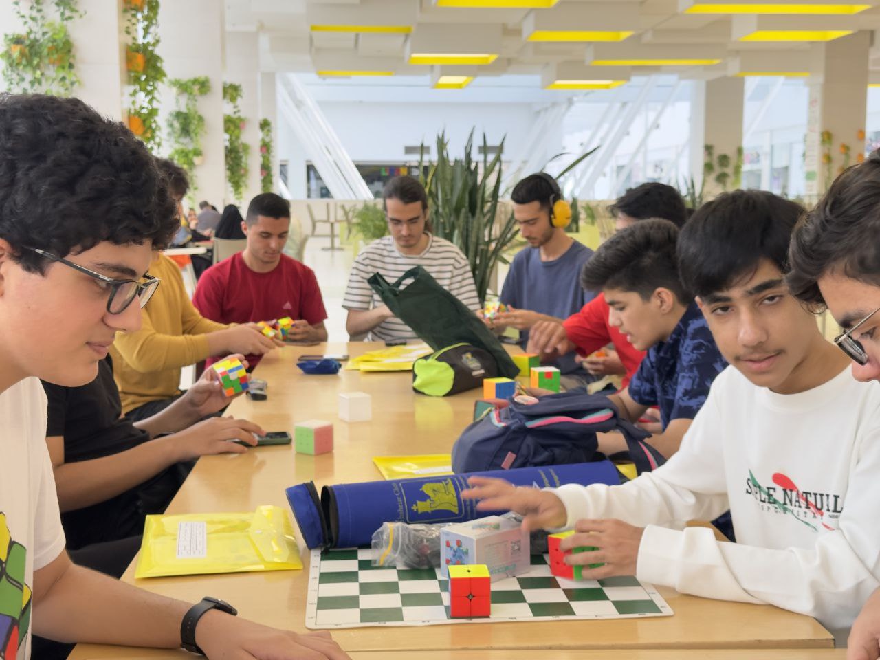 photo_9_2025-08-03_20-15-15